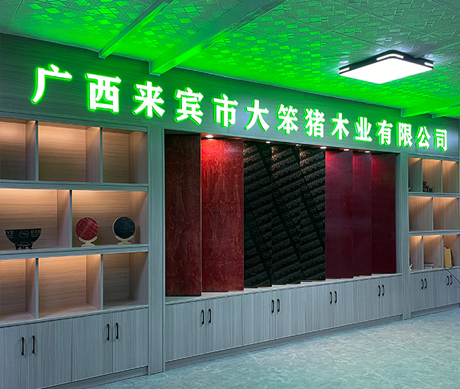 展示区